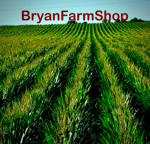 BryanFarmShop